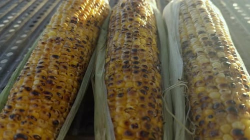 Grilled Corn On The Cob Close Up