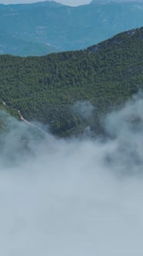 Vertical Video Green Forest Meets Floating Clouds and Blue Sky in a Scenic Mountain Landscape
