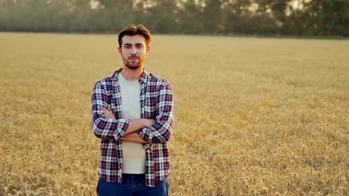 Portrait of Happy Farmer Standing in Ripe Wheat Field with Arms Crossed on Chest Proud Agronomist