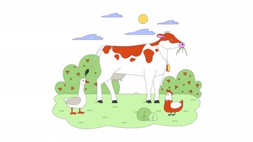 Cow and farm birds on summer farmyard 2D characters animation
