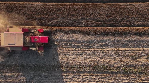 Tractor Working in Agricultural Field Cultivating and Plowing Dry Soil