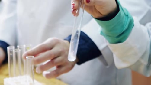Scientist Holding Test Tube in Medical Laboratory