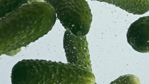 Closeup Cucumbers Rise Water Surface in Light Background