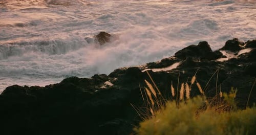 Stormy Ocean Waves Breaking on Black Rocky Beach at Warm Sunset Light Closeup Raging Rough Sea Foam