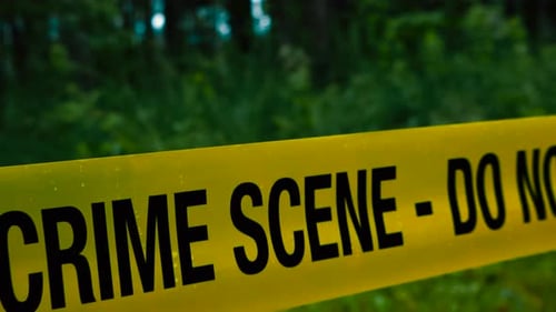 Sliding along close up crime scene tape in rainy forest, blurred tree trunks and green bushes behind