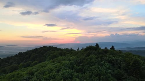 Aerial View of Green Pine Forest with Dark Spruce Trees Covering Mountain Hills at Sunset