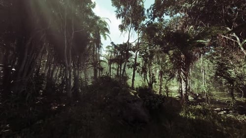 Exploring the Dense Jungle Landscape in Southern China During Daylight Hours