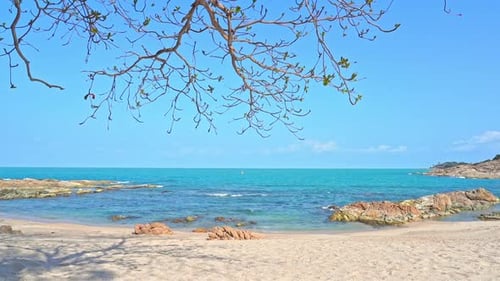Leerer Kopierraum für die Rocky Beach-Vorlage. Ast im Vordergrund am Sandstrand an einem sonnigen Tag i