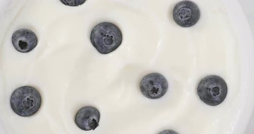 Blueberries Arranged in Creamy White Yogurt Bowl
