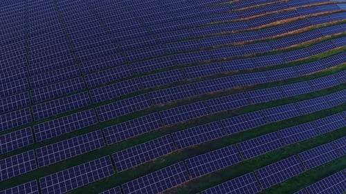 Solar panels capture sunlight on a large field for energy production