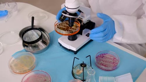 Lab Analysis Under Microscope in Brightly Lit Lab