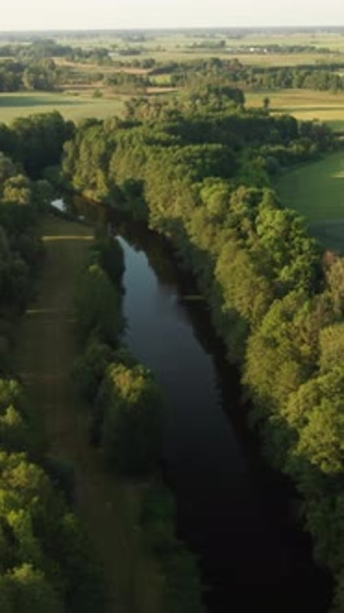 Aerial Shot of a River Meandering Through Green Fields Vertical Video