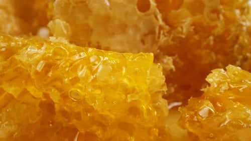 Auf einem weißen Teller drehen sich Wabenstücke mit goldenem Honig. Nahaufnahme von Wachszellen mit Bienenhonig
.