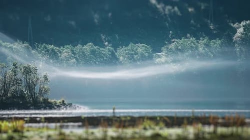 The thin fog floats and whirls slowly above the lake. The dense forest in the background. High-quali