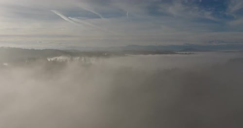 Aerial view of thick fog over the forest