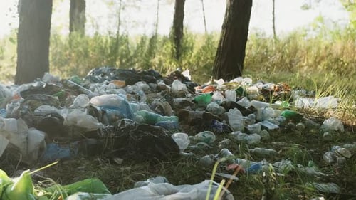 Different Garbage and Trash on a Ground in the Forest