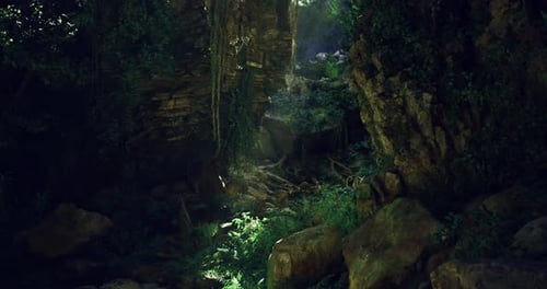 Serene Sunlight Filtering Through Lush Foliage in a Secluded Forest Area