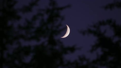 Crescent Moon Night Silhouette