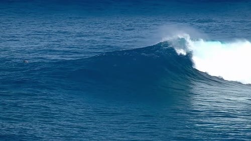 Surfing