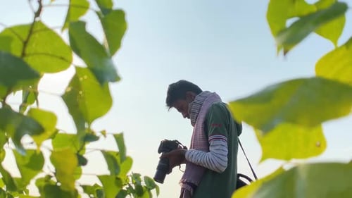 Photographer in the outdoors on a sunny day green plants in foreground