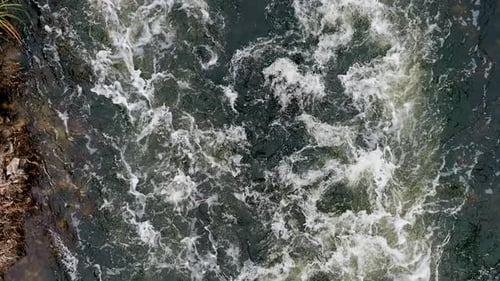 Muddy Water