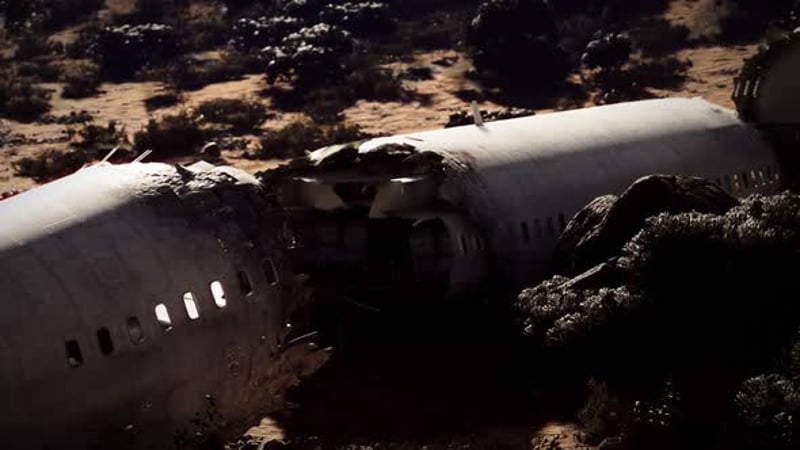 Plane Wreckage Lies in a Remote Forest After a Catastrophic Crash Event ...