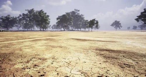 3D Animated Dry Landscape with Trees