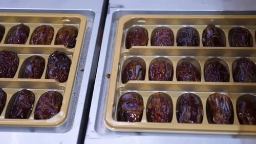 Date factory demo shelves stacked fully