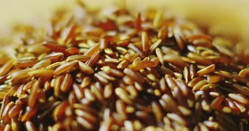hands of a young farmer get up and mingle in extreme slow motion a bit ' of cereals, barley, spell