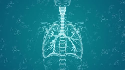 Animated X-Ray Scan of Human Lungs and Ribcage with Molecular Background