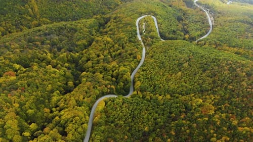 Vidéo aérienne d'une route de montagne sinueuse dans une forêt d'automne - 12.10.2018, Sliven, Bulgarie