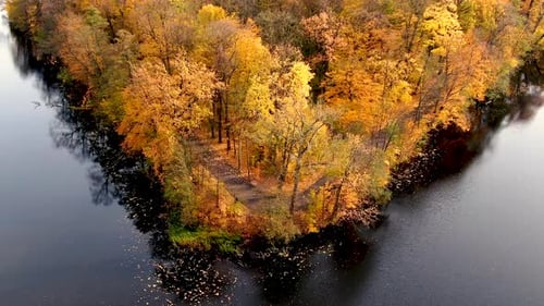 Top down autumn wood. Nature background. Autumn forest with colorful trees. Autumn forest aerial dro