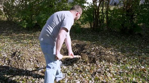 Tracking in towards caucasian male with shovel, digging a hole in Backyard, Slow motion shot