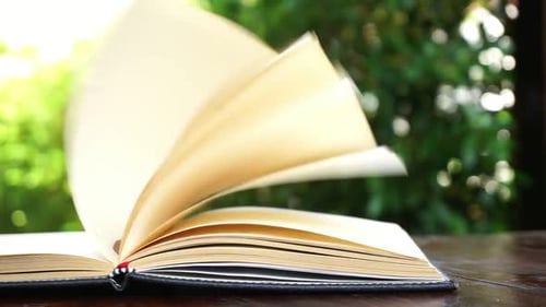 Nature s Library Open Your Mind and Find Joy in Summer Reading