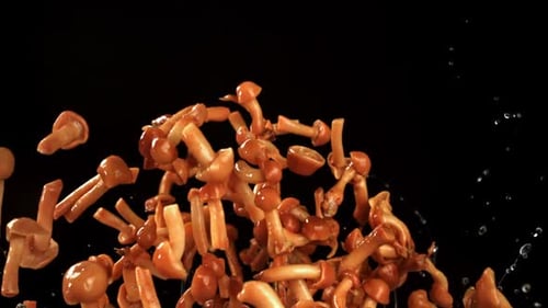 Pickled Mushrooms Fly Upward on a Black Background