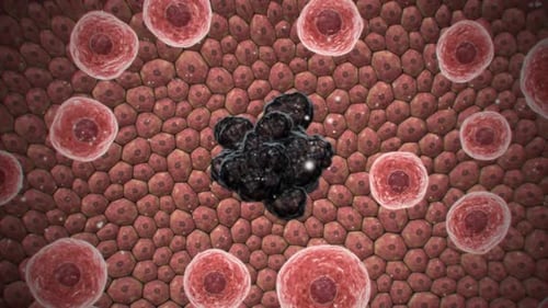 3D Microscopic View of Healthy and Abnormal Cells Animation