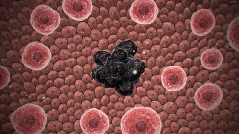 Microscopic Biological Cell Structures with Moving Particles ...