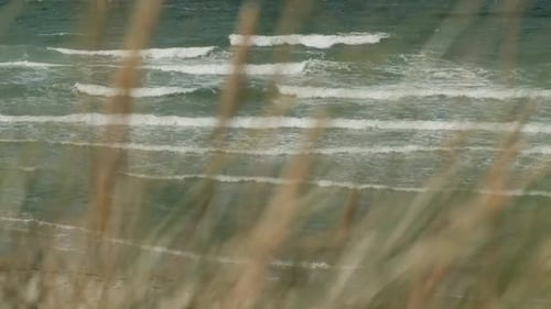 Looking at waving sea through blurry grass swaying in wind