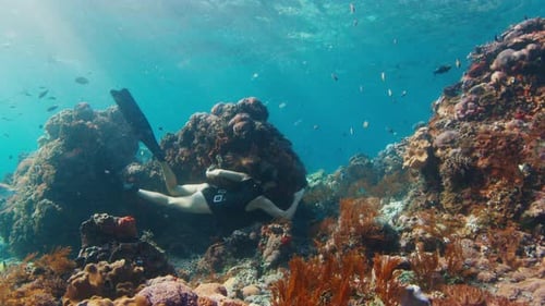 Young Woman Swims in the Ocean Female Freediver Glides Underwater Over the Coral Reef