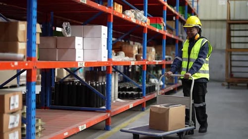Warehouse Industrial and Logistics Companies. Dispatcher in uniform making inventory in storehouse.