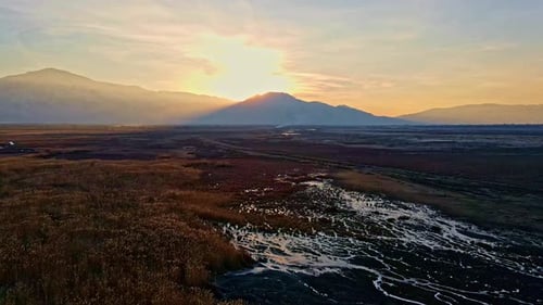 Aerial View Of Reeds, Sunrise