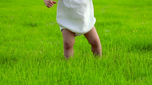 Crop close up of barefoot baby learning to take first steps on lawn