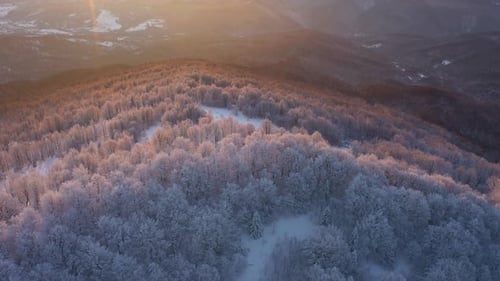 Winter Sunrise Above The Mountain Forest 8