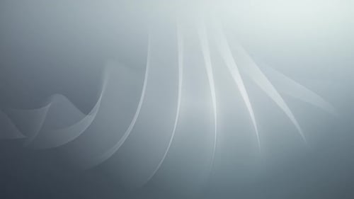 Elegant Fluid Abstract Background Animated Lines