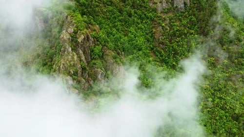 Aerial View Over the Mountain Green Forest Covered in Fog Outdoor Summer Travel Concept Untouched