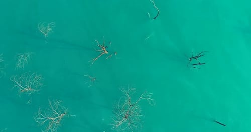 Luftbild von oben nach unten über natürliche Textur abstrakte industrielle Seewassermuster