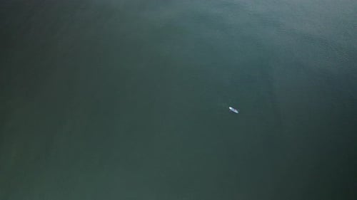 Top Down Aerial View of Solo Surfer Floating, Up on Paddle Board, Practicing Summer Water Sea Sport,