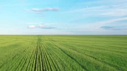 View of the Green Field and Blue Sky