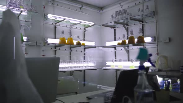 Cold laboratory with bubbling beakers on shelves and fluorescent ...