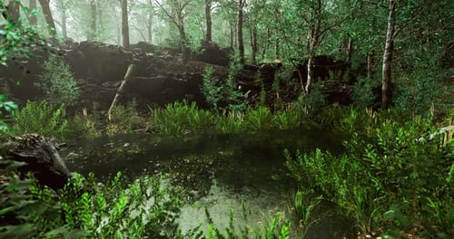 Tranquil Forest Setting with a Serene Pond Surrounded By Lush Greenery